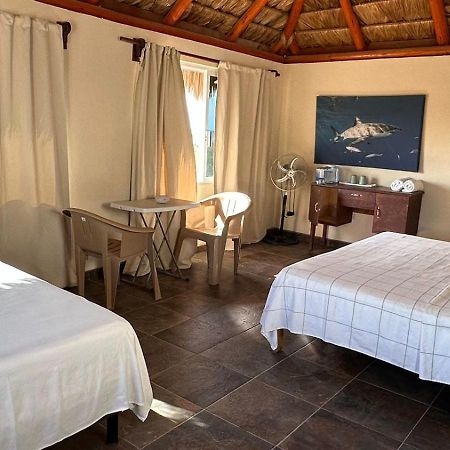 Bungalows Las Palmas Cabo Pulmo 外观 照片